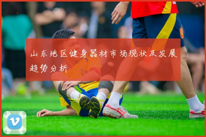 山东地区健身器材市场现状及发展趋势分析