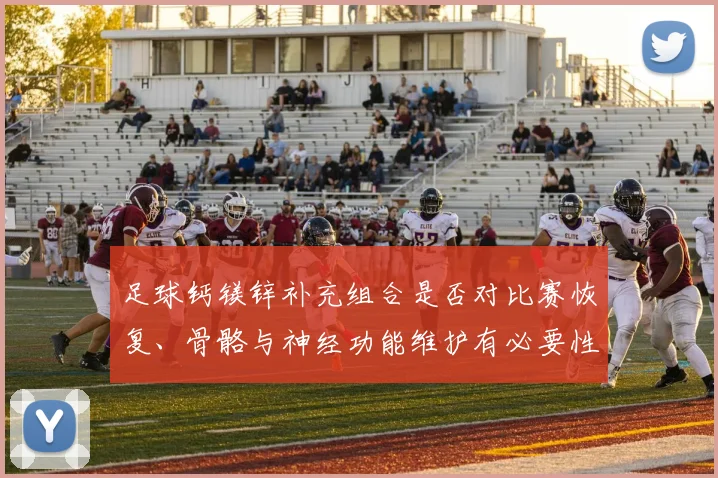 足球钙镁锌补充组合是否对比赛恢复、骨骼与神经功能维护有必要性