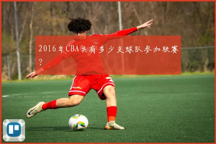 2016年CBA共有多少支球队参加联赛？
