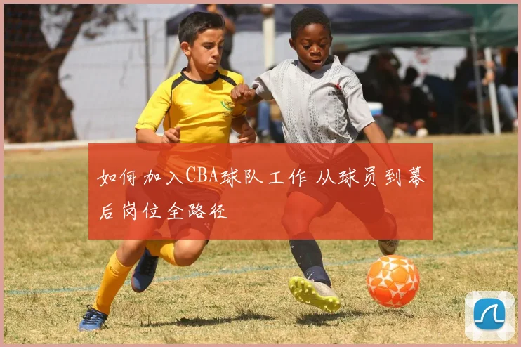 如何加入CBA球队工作 从球员到幕后岗位全路径