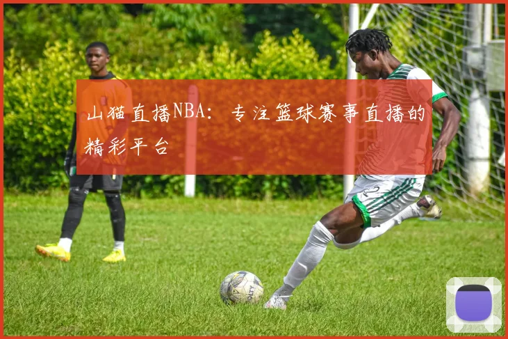 山猫直播NBA：专注篮球赛事直播的精彩平台