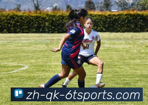 6T体育APP 体育赛事宣传图